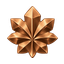 Lieutenant Major